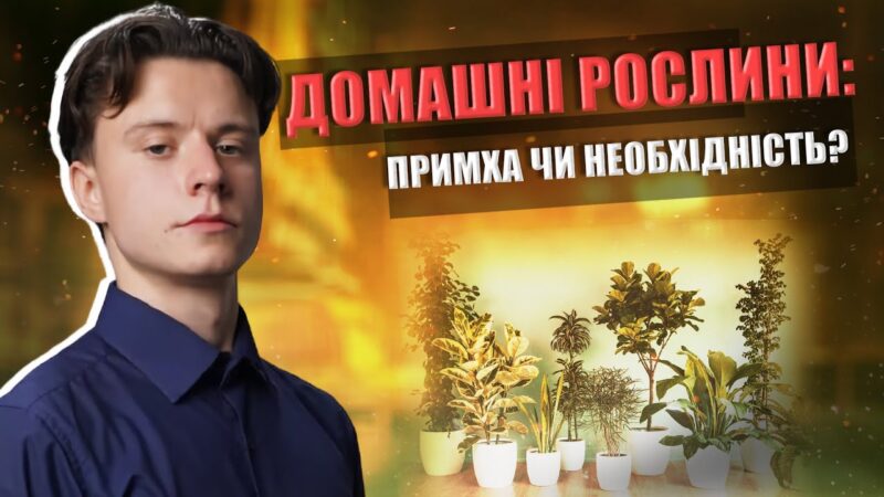 Домашні рослини: Примха чи необхідність?