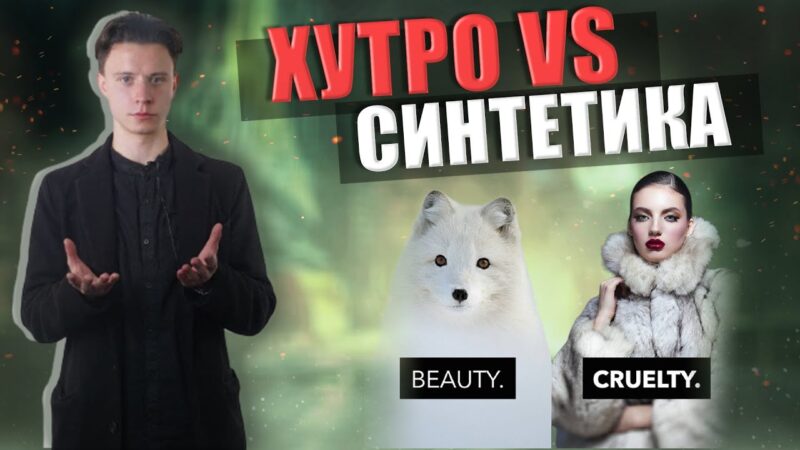 За що гинуть невинні тварини?